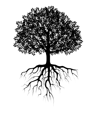 tree_roots2 - Stewardship Capital