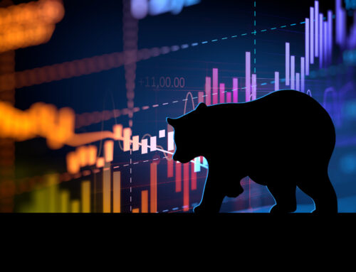 Life in a Bear Market